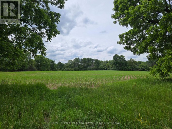 11080 FIRST LINE NASSAGAWEYA, Milton, Ontario, L0P1J0