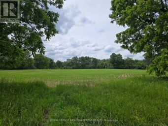 11080 FIRST LINE NASSAGAWEYA Milton Ontario photo 26
