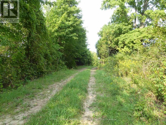 11080 FIRST LINE NASSAGAWEYA, Milton, Ontario, L0P1J0