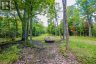 0 NORDIC LANE, Brudenell, Lyndoch And Raglan, Ontario, K0J2A0 (ID X13724784)