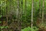 0 NORDIC LANE, Brudenell, Lyndoch And Raglan, Ontario, K0J2A0 (ID X13724784)