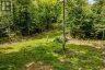 0 NORDIC LANE, Brudenell, Lyndoch And Raglan, Ontario, K0J2A0 (ID X13724784)