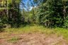0 NORDIC LANE, Brudenell, Lyndoch And Raglan, Ontario, K0J2A0 (ID X13724784)