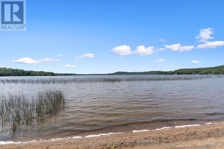1046 PLACID LANE, Algonquin Highlands (Stanhope), Ontario, K0M1S0
