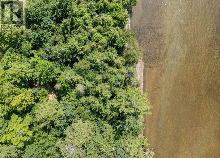 1046 PLACID LANE, Algonquin Highlands (Stanhope), Ontario, K0M1S0