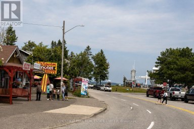 14 GIVEN ROAD N Tehkummah Ontario photo 35