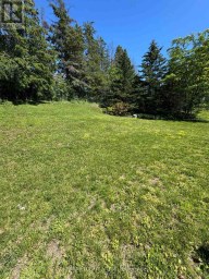 15 WATSON COURT Orillia Ontario photo 22
