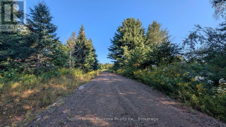 00 SAVAGE SETTLEMENT ROAD, Perry, Ontario, P0A1R0