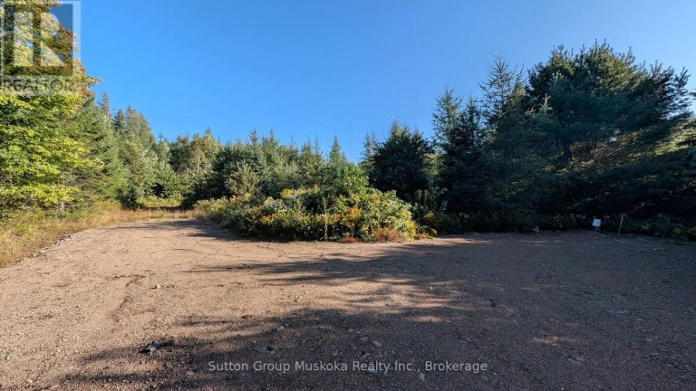 00 SAVAGE SETTLEMENT ROAD, Perry, Ontario, P0A1R0