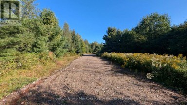 00 SAVAGE SETTLEMENT ROAD Perry Ontario photo 4