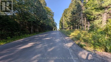 00 SAVAGE SETTLEMENT ROAD Perry Ontario photo 5