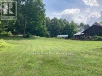 891 COUNTY ROAD Trent Lakes Ontario photo 17