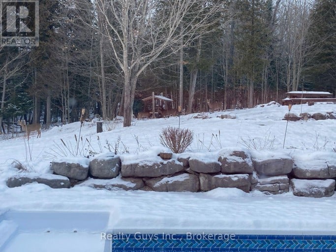 891 COUNTY ROAD, Trent Lakes, Ontario, K0M1A0
