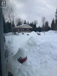 891 COUNTY ROAD Trent Lakes Ontario photo 22