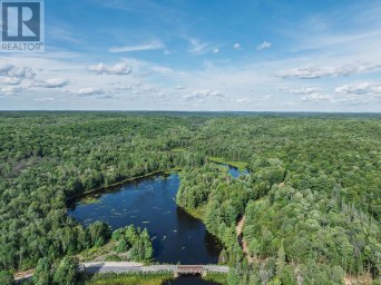 1241 KOSHLONG LAKE ROAD Dysart et al (Dysart) Ontario photo 1
