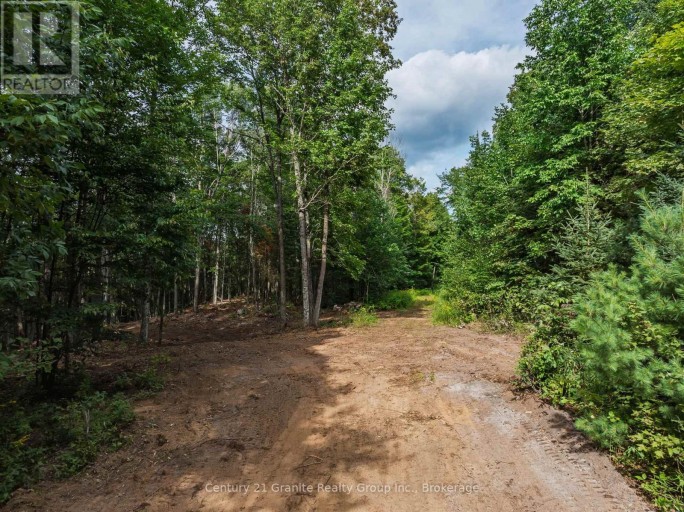 1241 KOSHLONG LAKE ROAD, Dysart et al (Dysart), Ontario, K0M1S0