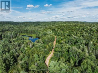 1241 KOSHLONG LAKE ROAD Dysart et al (Dysart) Ontario photo 12