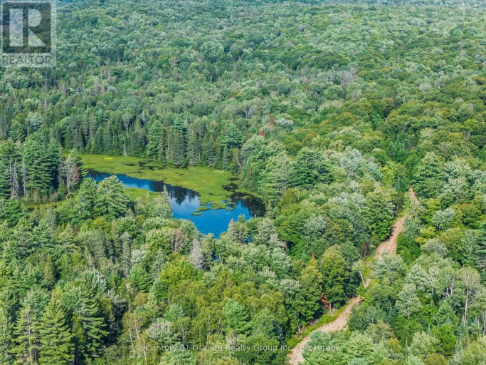 1241 KOSHLONG LAKE ROAD, Dysart et al (Dysart), Ontario, K0M1S0