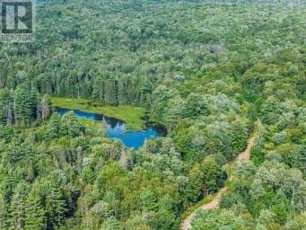 1241 KOSHLONG LAKE ROAD Dysart et al (Dysart) Ontario photo 13