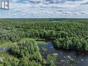 1241 KOSHLONG LAKE ROAD Dysart et al (Dysart) Ontario photo 14