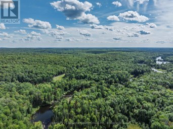 1241 KOSHLONG LAKE ROAD Dysart et al (Dysart) Ontario photo 16