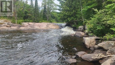 1241 KOSHLONG LAKE ROAD Dysart et al (Dysart) Ontario photo 20