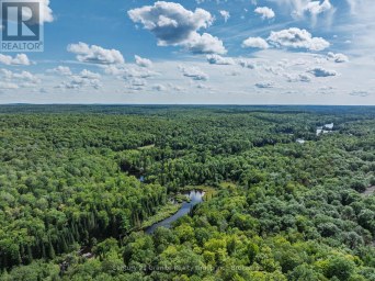 1241 KOSHLONG LAKE ROAD Dysart et al (Dysart) Ontario photo 21