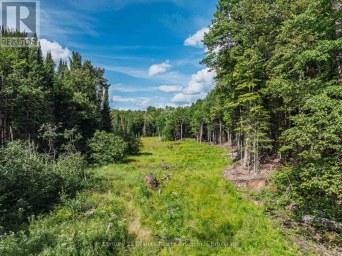 1241 KOSHLONG LAKE ROAD Dysart et al (Dysart) Ontario photo 23