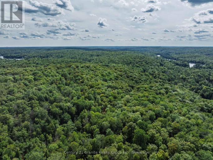 1241 KOSHLONG LAKE ROAD, Dysart et al (Dysart), Ontario, K0M1S0