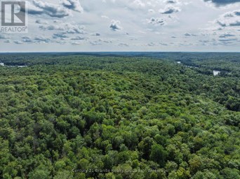 1241 KOSHLONG LAKE ROAD Dysart et al (Dysart) Ontario photo 24
