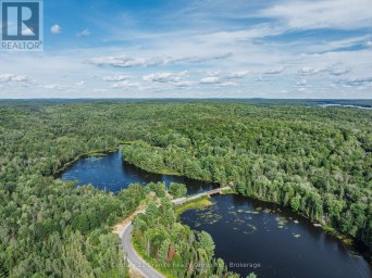1241 KOSHLONG LAKE ROAD Dysart et al (Dysart) Ontario photo 27