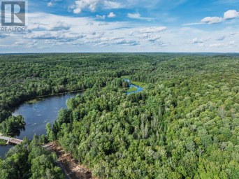 1241 KOSHLONG LAKE ROAD Dysart et al (Dysart) Ontario photo 28