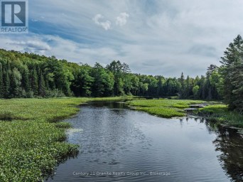 1241 KOSHLONG LAKE ROAD Dysart et al (Dysart) Ontario photo 4
