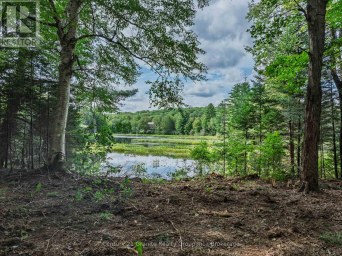 1241 KOSHLONG LAKE ROAD Dysart et al (Dysart) Ontario photo 6