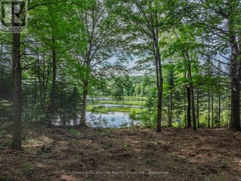 1241 KOSHLONG LAKE ROAD Dysart et al (Dysart) Ontario photo 7