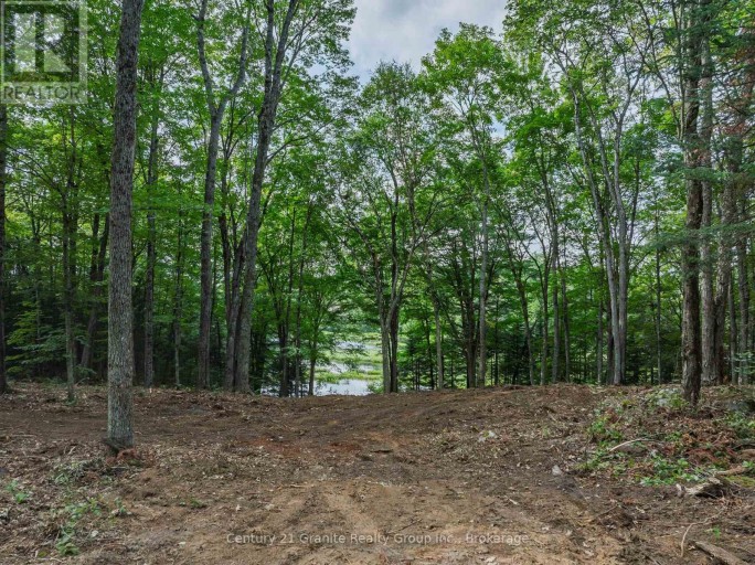 1241 KOSHLONG LAKE ROAD, Dysart et al (Dysart), Ontario, K0M1S0