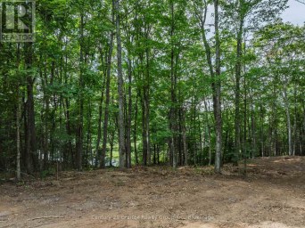 1241 KOSHLONG LAKE ROAD Dysart et al (Dysart) Ontario photo 9