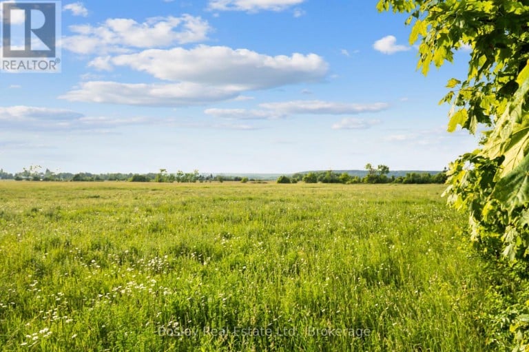 404302 20 CONCESSION, Georgian Bluffs, Ontario, N0H1S0