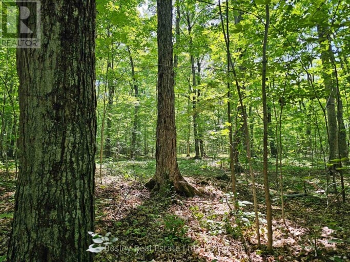 404302 20 CONCESSION, Georgian Bluffs, Ontario, N0H1S0