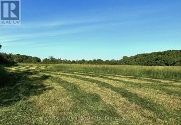 404302 20 CONCESSION Georgian Bluffs Ontario photo 36