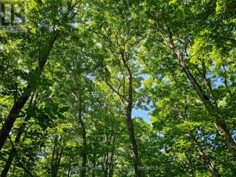 404302 20 CONCESSION Georgian Bluffs Ontario photo 40