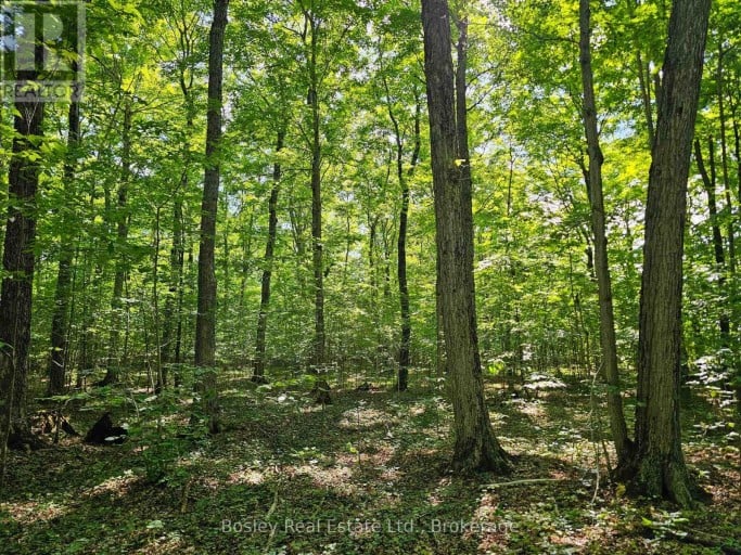 404302 20 CONCESSION, Georgian Bluffs, Ontario, N0H1S0