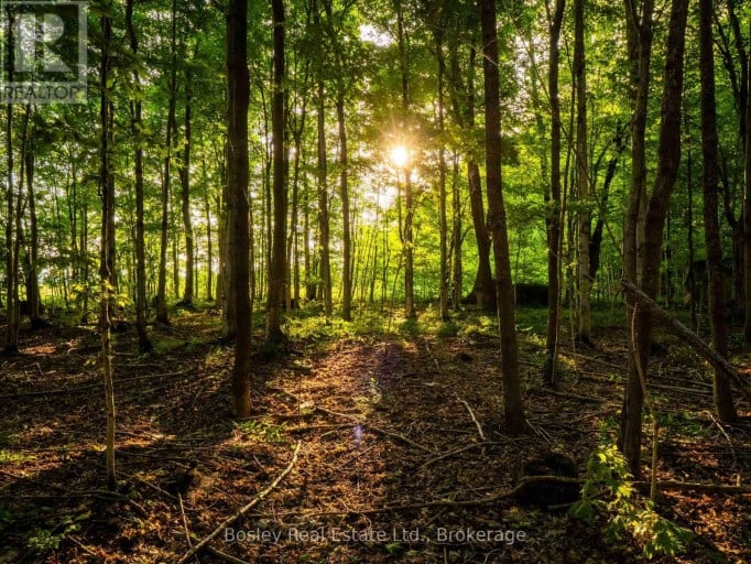 404302 20 CONCESSION, Georgian Bluffs, Ontario, N0H1S0