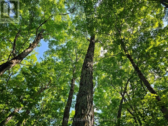 404302 20 CONCESSION, Georgian Bluffs, Ontario, N0H1S0