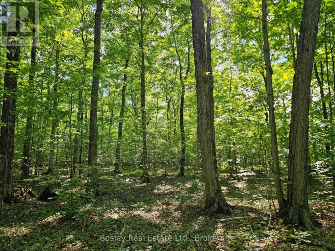 404302 CONCESSION 20 ROAD, Georgian Bluffs, Ontario, N0H1S0