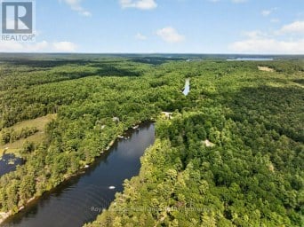 1138 HELEN LANE North Frontenac Ontario photo 48