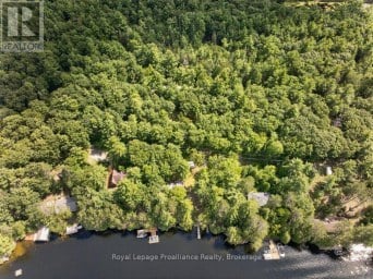 1138 HELEN LANE North Frontenac Ontario photo 6