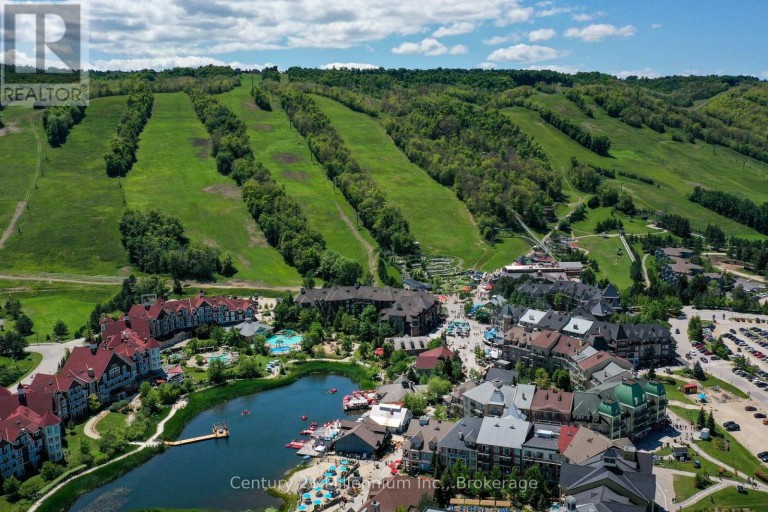 24 - 171 SNOWBRIDGE WAY, Blue Mountains, Ontario, L9Y0V1