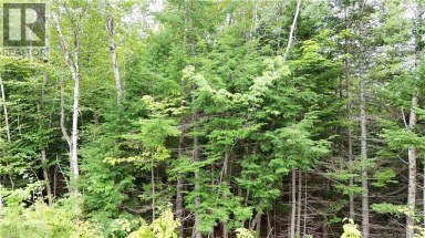Bathory Lower Greenwich New Brunswick photo 3