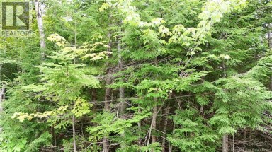 Bathory Lower Greenwich New Brunswick photo 4